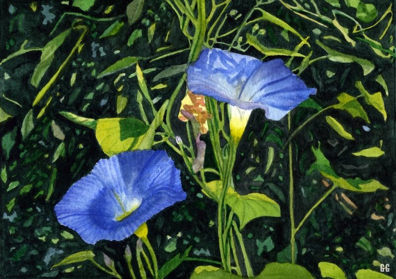 large